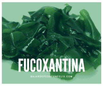 alga-fucoxanthin